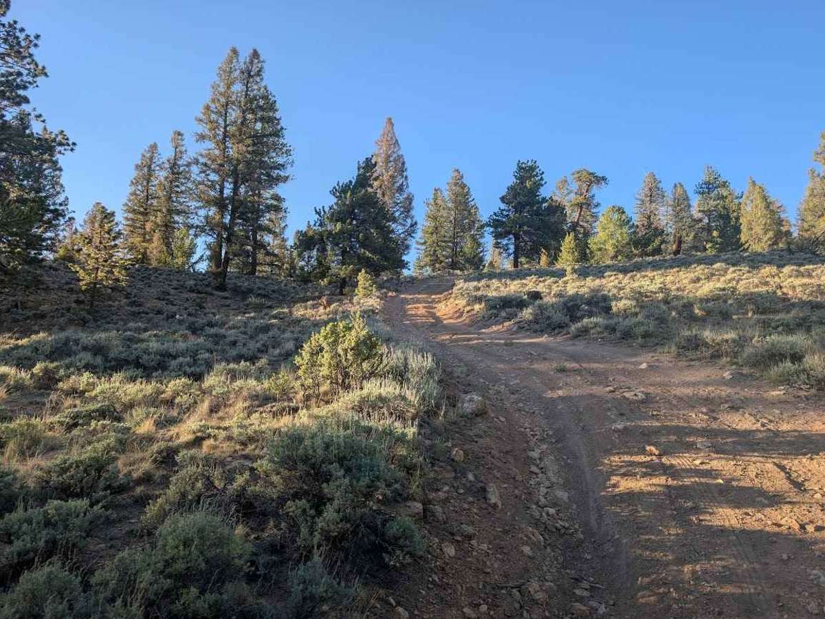 Poacher's Loop photo 2