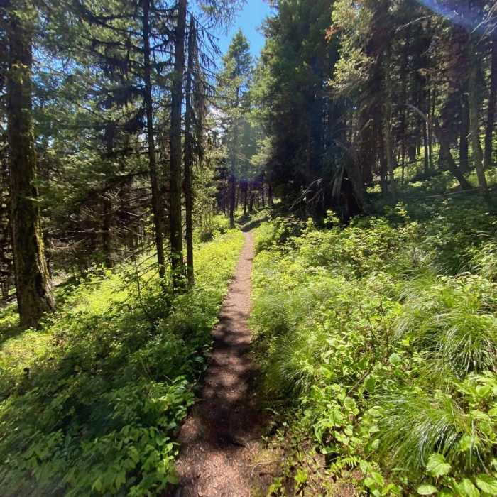 Near Sheep Mountain Loop