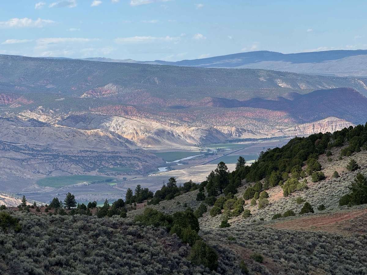 BLM 8462 photo 5