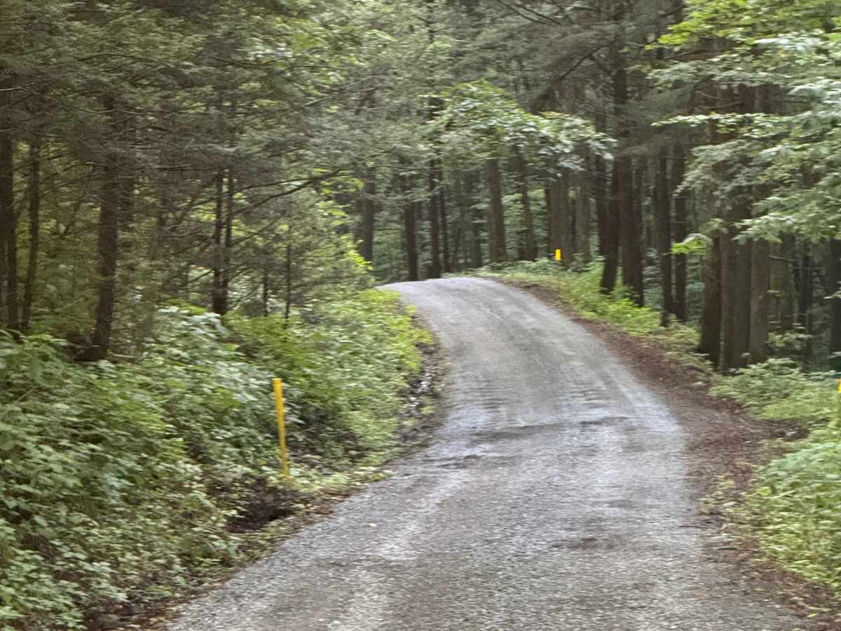 Dam Run Road photo 6
