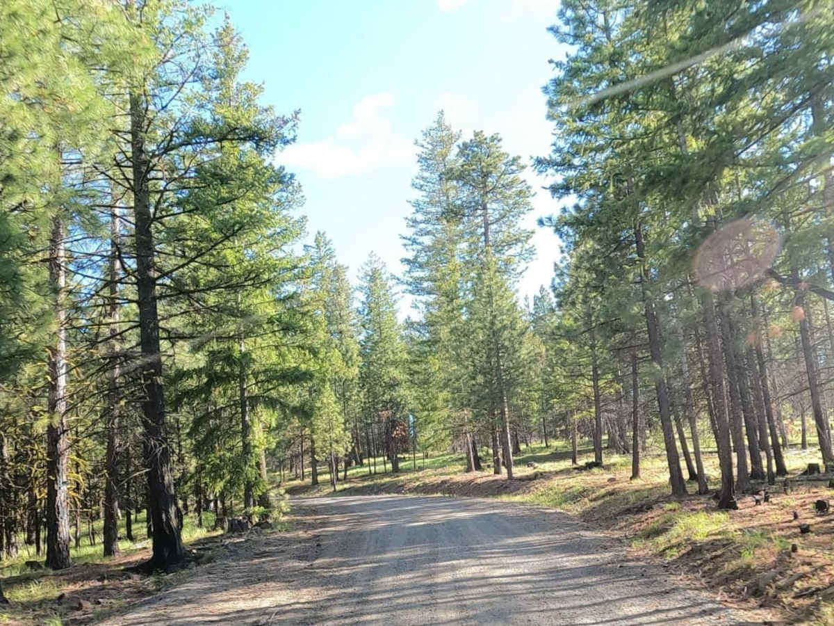 Bethel Ridge Road - NF1500 photo 6