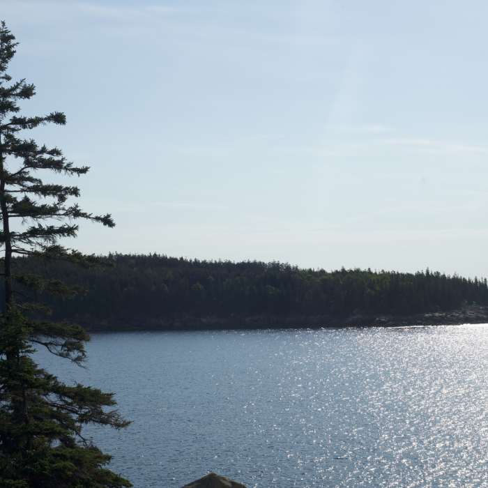 Views from the end of the Ocean Path trail toward Otter Point. Near Ocean Path