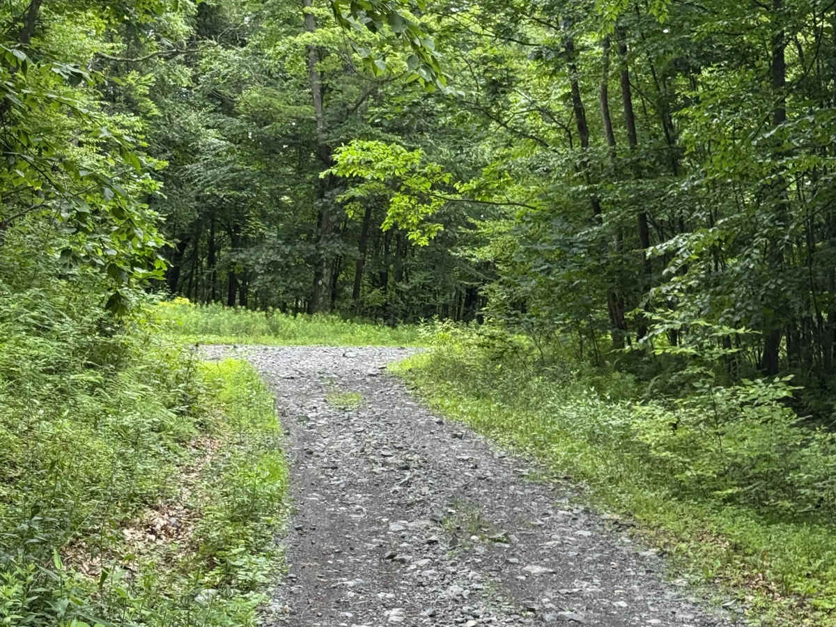 Trail 23 photo 3
