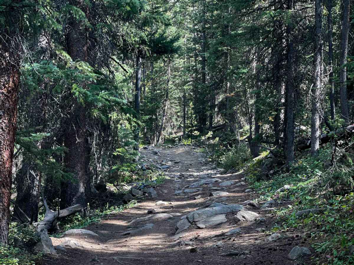 South Fork Swan Trail #9088  photo 2