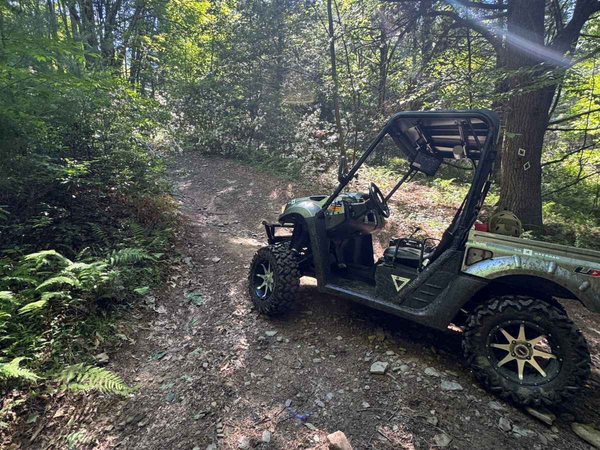 Zink Fork Trail trail photo