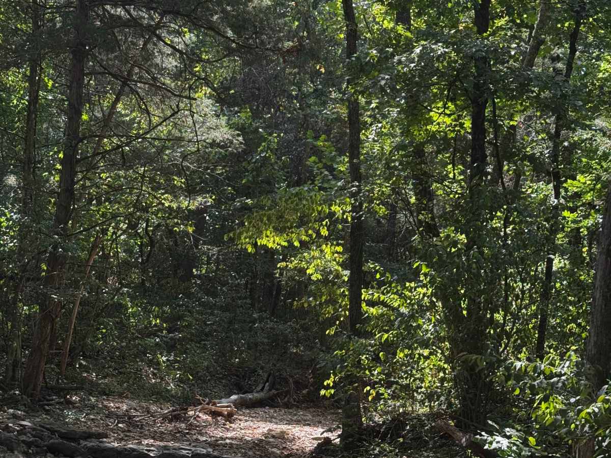 Rocky Bottoms to Stairway trail photo