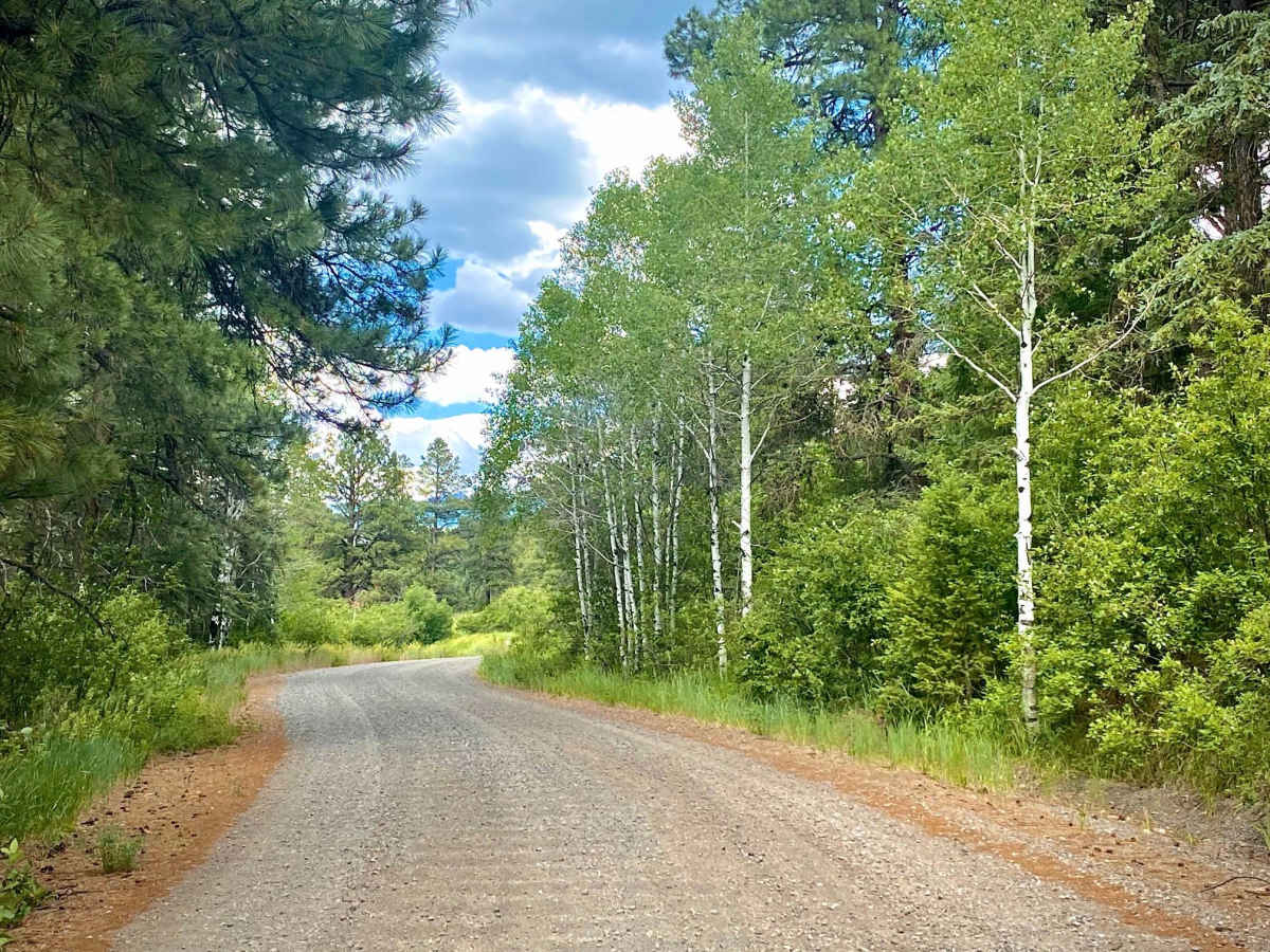 Blanco River Road-Fr Rd 656 photo 5