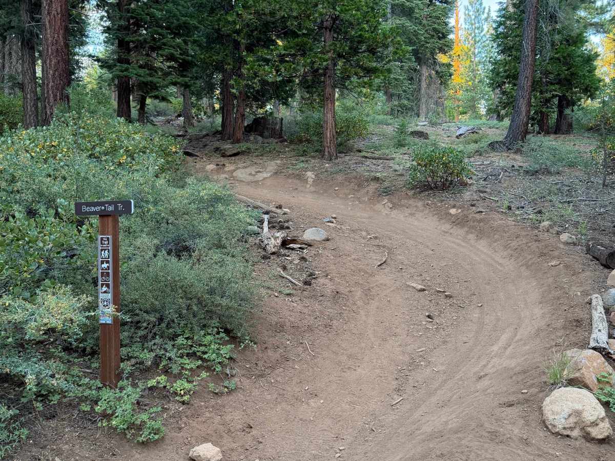 Beaver Tail Trail (Upper) trail photo