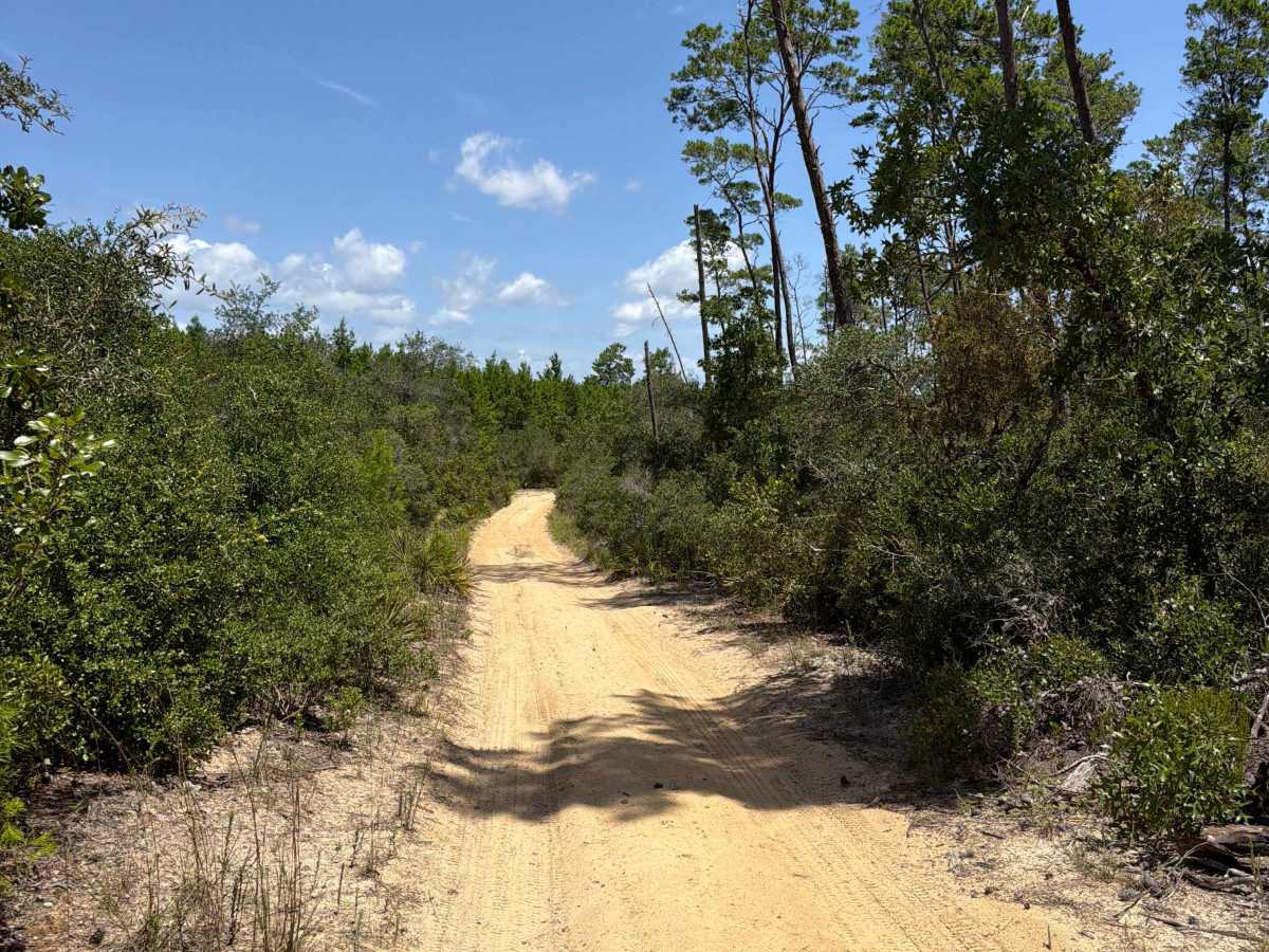 FS 30-5.3 trail photo