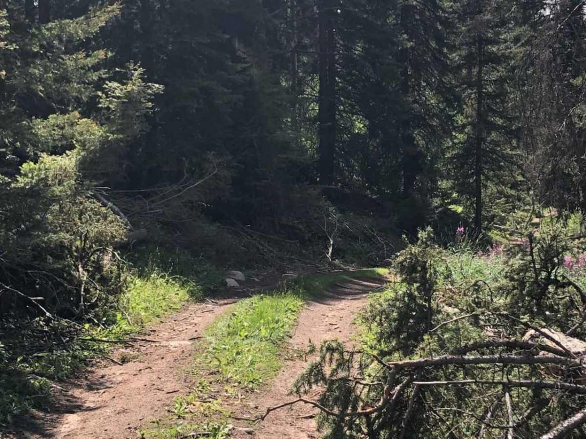 Ghost Creek photo 2