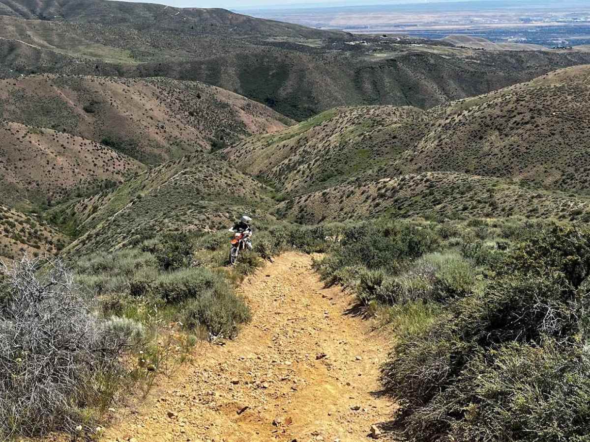 Femrite's Patrol Trail 6 photo 5