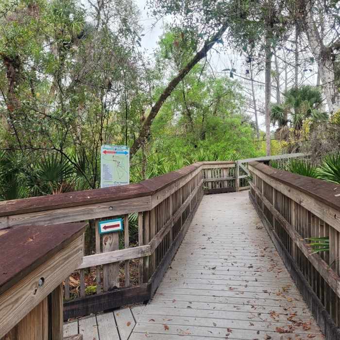 Near Hickey's Creek Trail