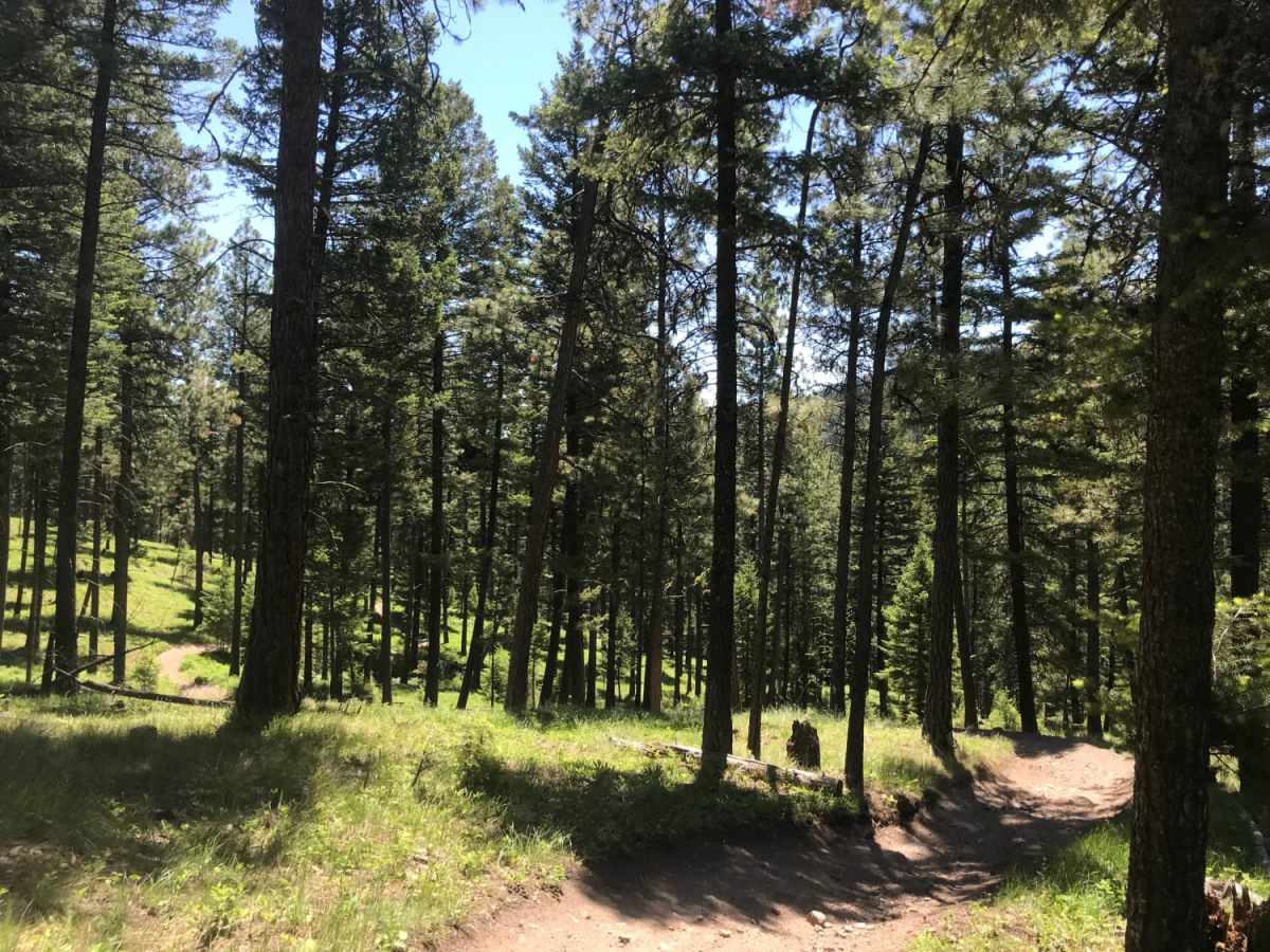 Blue Mountain Single Track photo 2