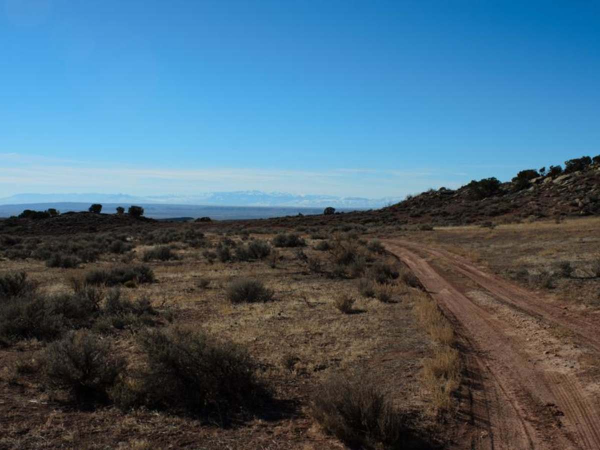 Petroglyphs Canyon Natural Area photo 4