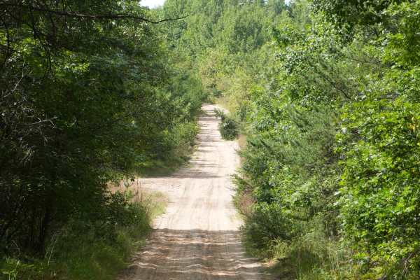 Emery Road
