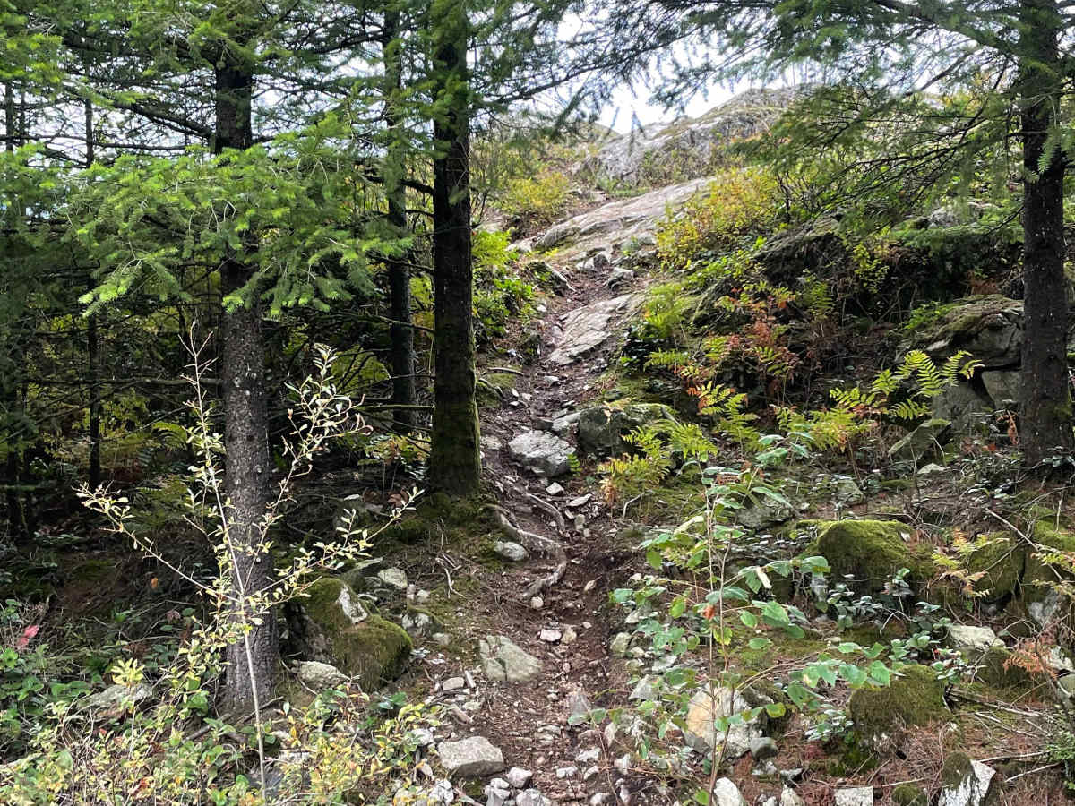Viewpoint- The Long Way photo 3