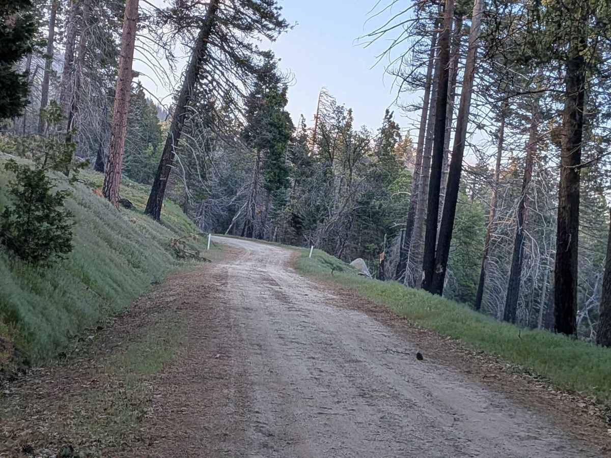 Rancheria Road North - FS 25S15 photo 6