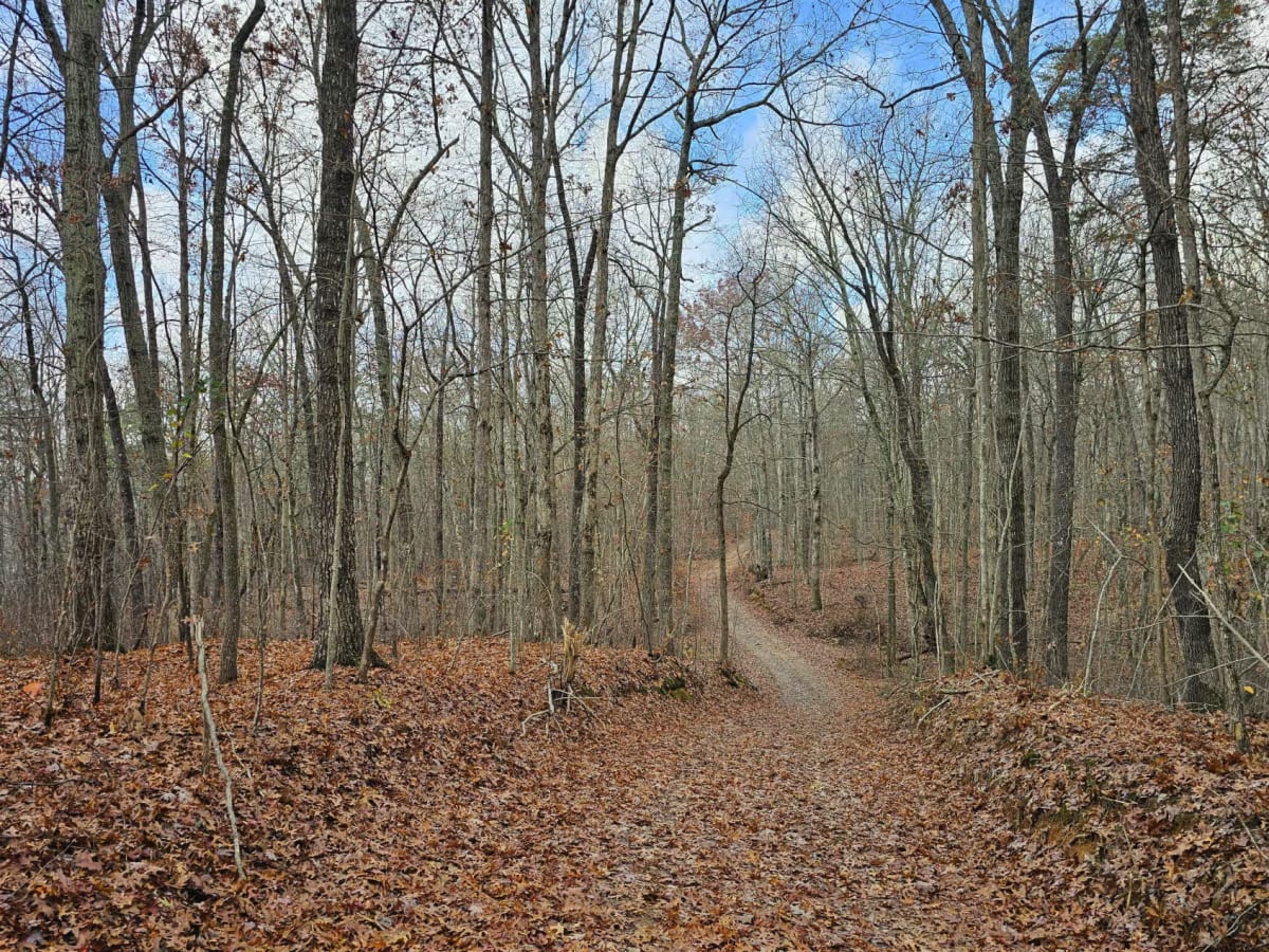 East Brow Road trail photo