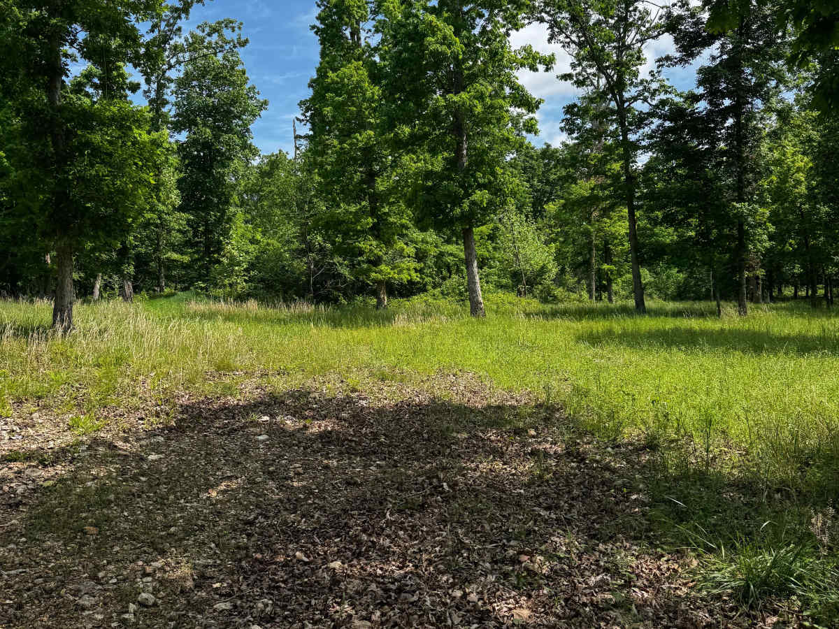 Little Rock  trail photo