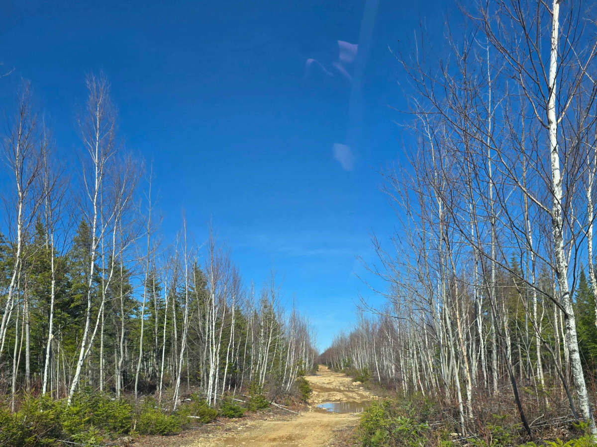 Noonan to Penniac Road photo 5