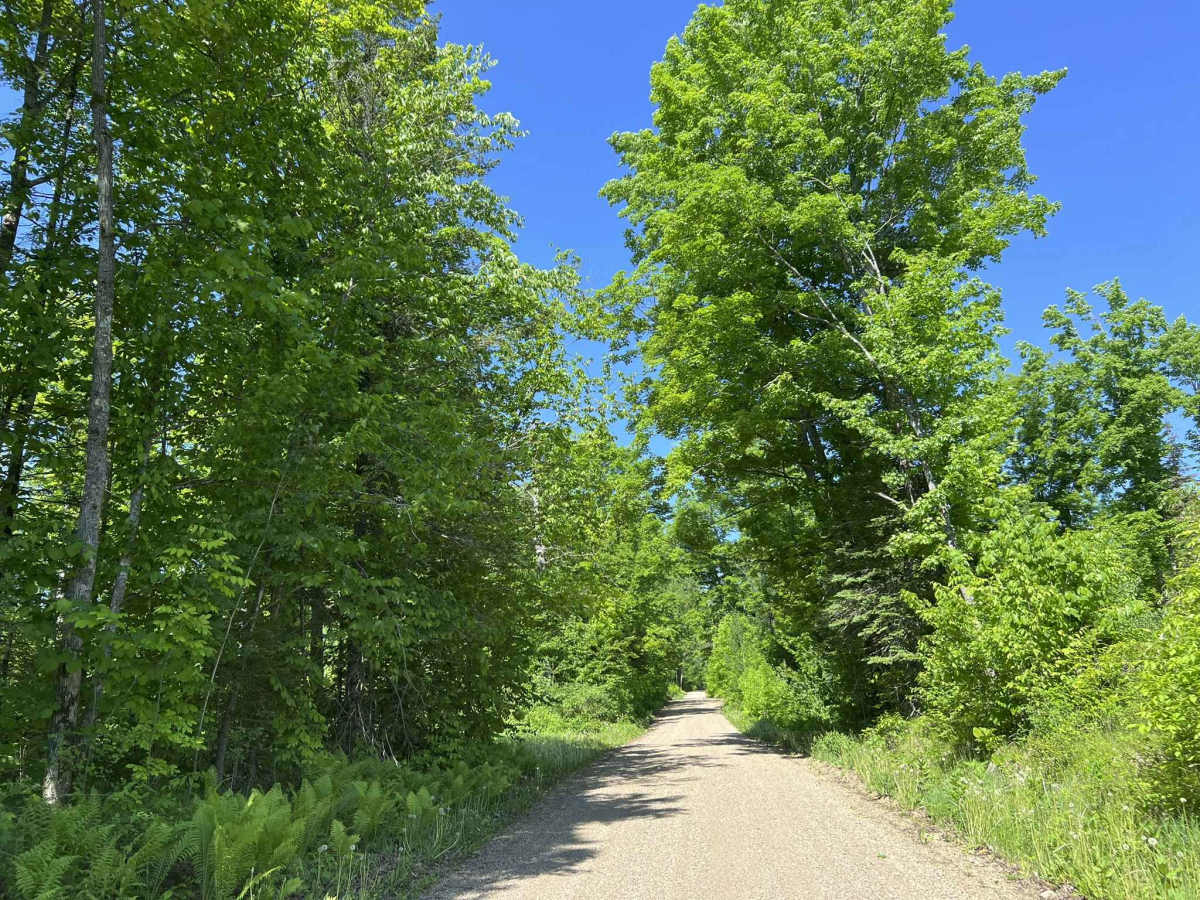 FS 2283 photo 4