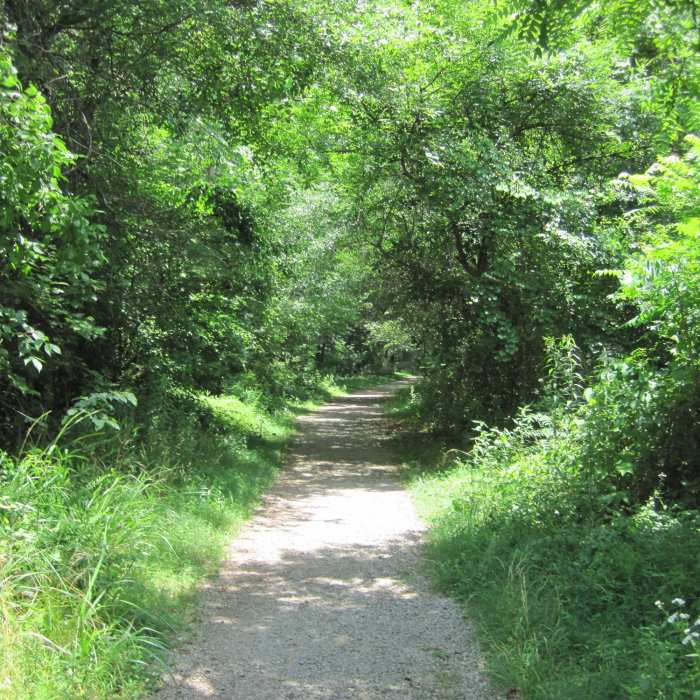 Near South Fork Rail Trail