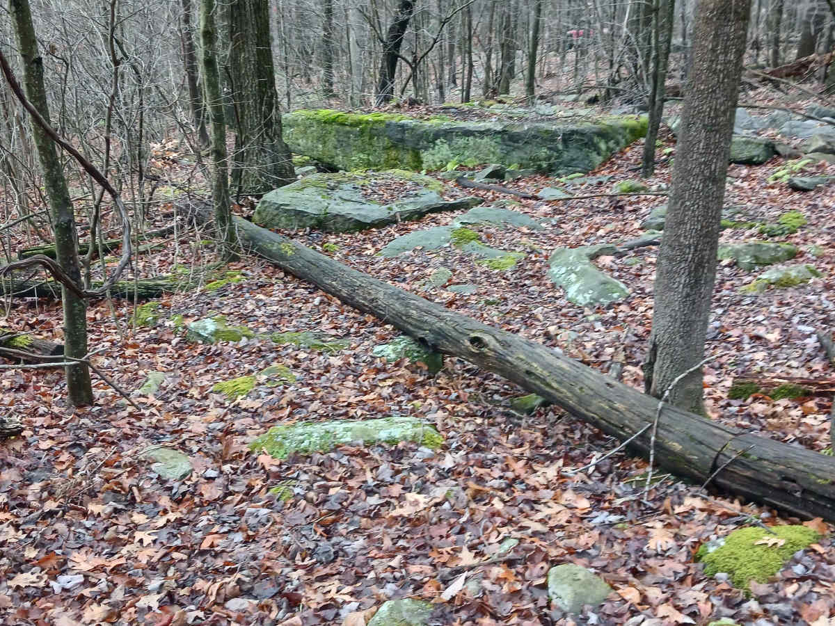 OHV 32 - Rock Run Recreation Area trail photo