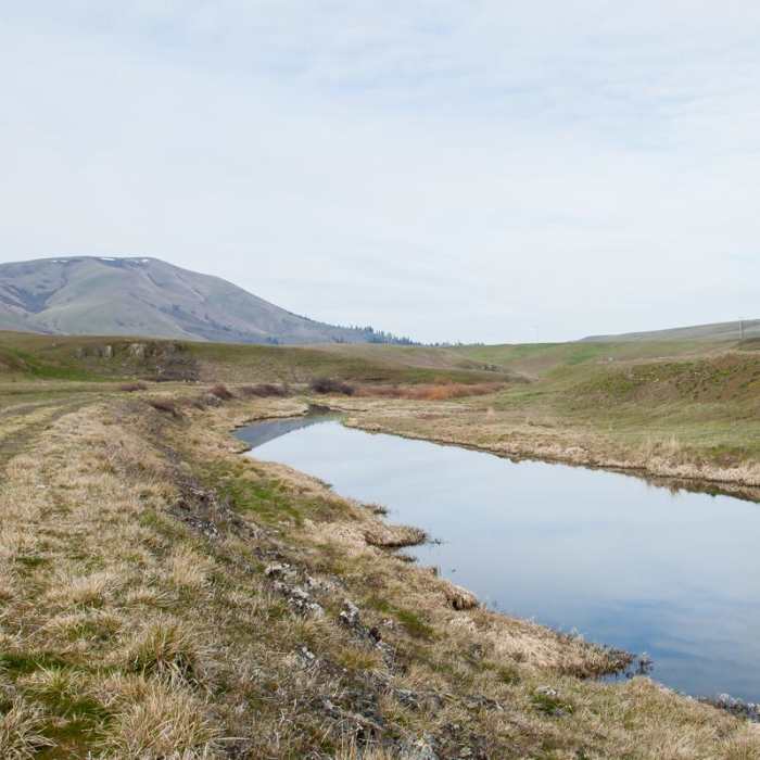 Near Klickitat Trail, Harms Road Trailhead