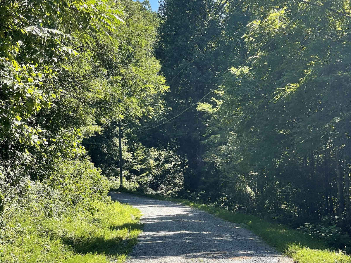 Rackett Branch Road photo 4