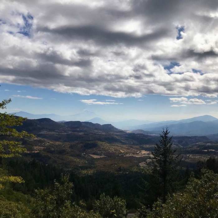 Near Mount Ashland Meadows