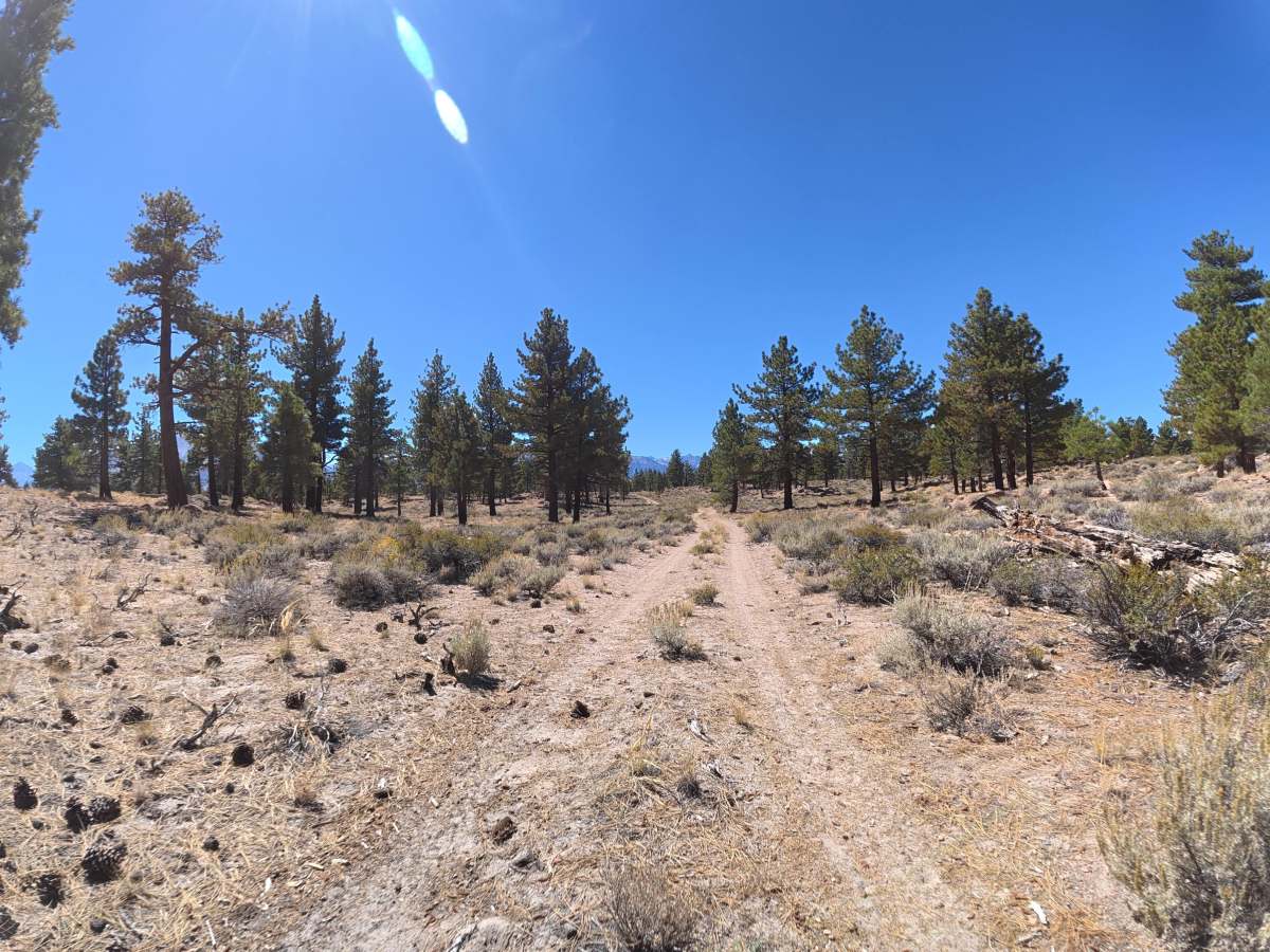 FS 4S03B trail photo