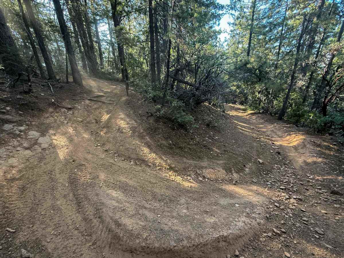 Trail 4-1 (11E35)  photo 3