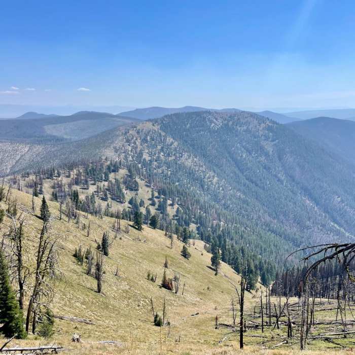 Near Continental Divide Trail: Montana-Idaho Section 12