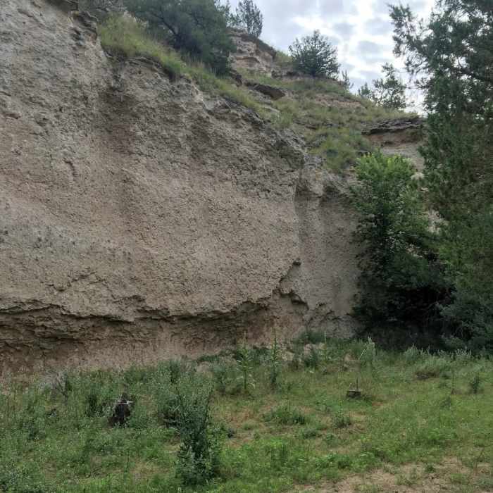 Near Butterfly Canyon