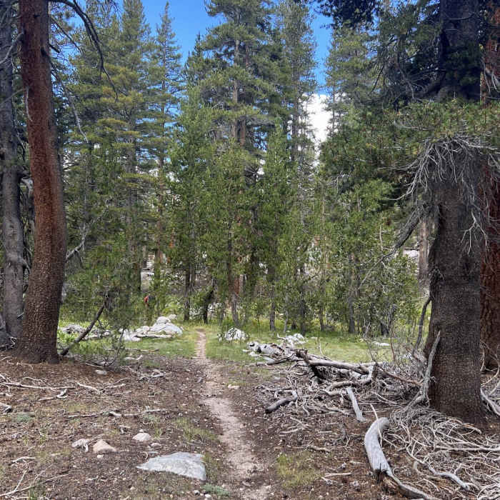 Near South Lake to State Lake