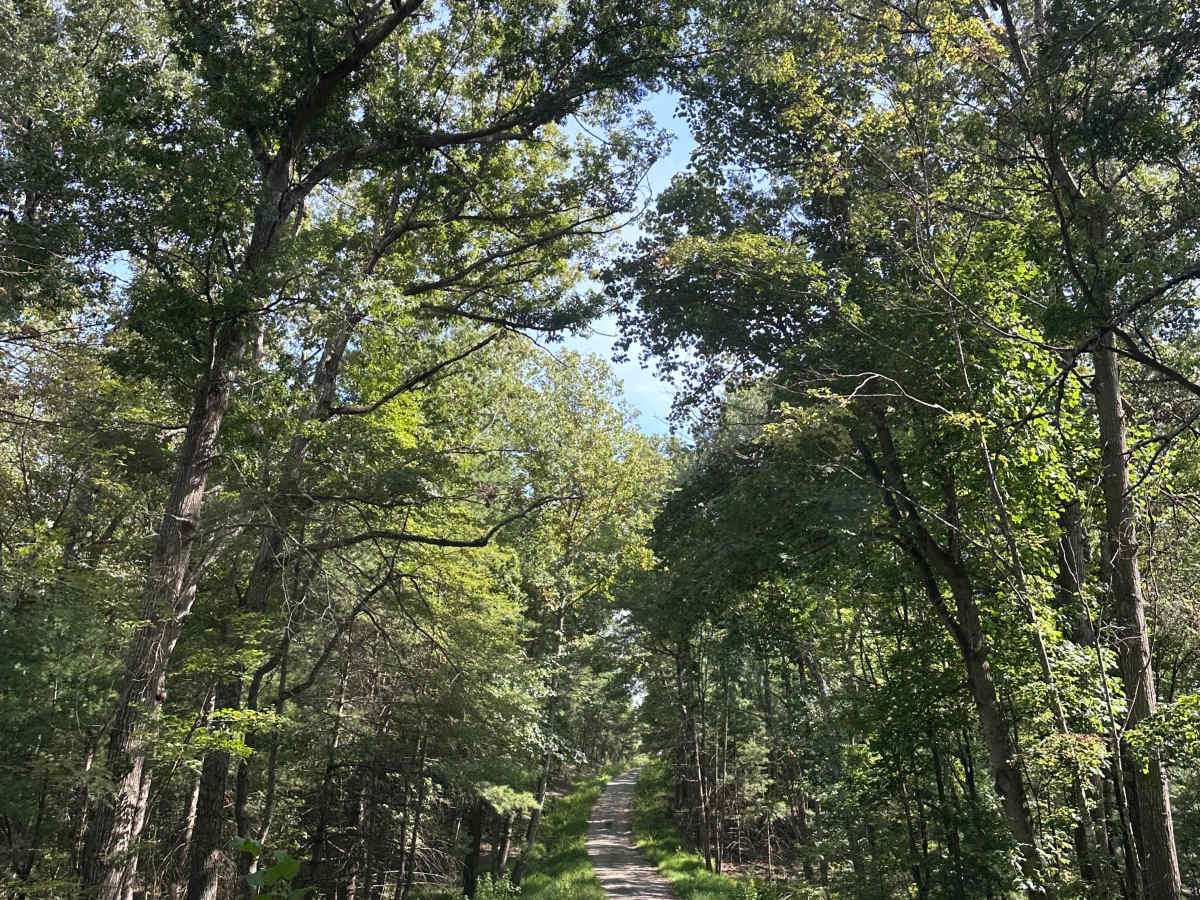 Whiting Tract photo 6