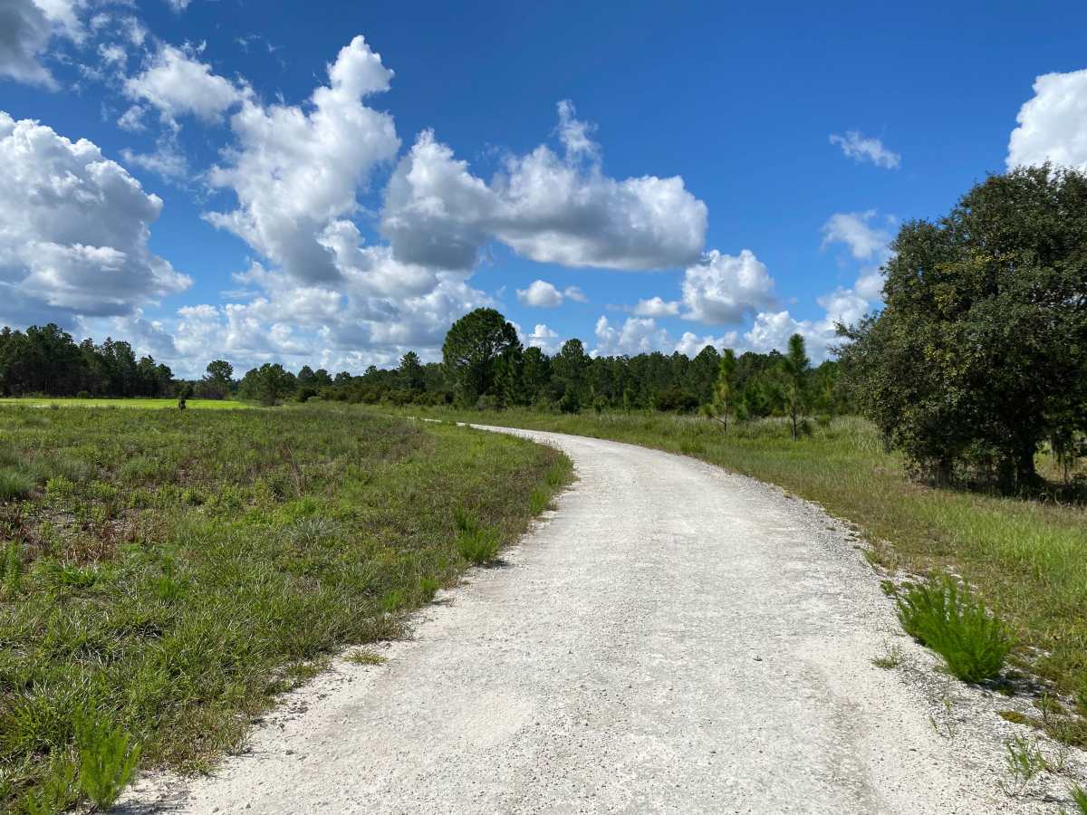 Ridge Road trail photo