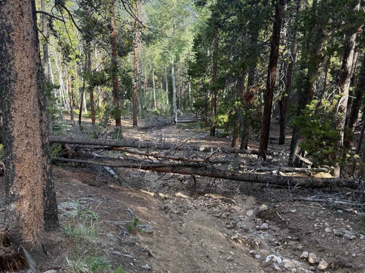 Devils Canyon Spur - FS 2461B photo 5