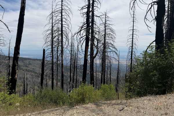 Postpile - FS 24N38