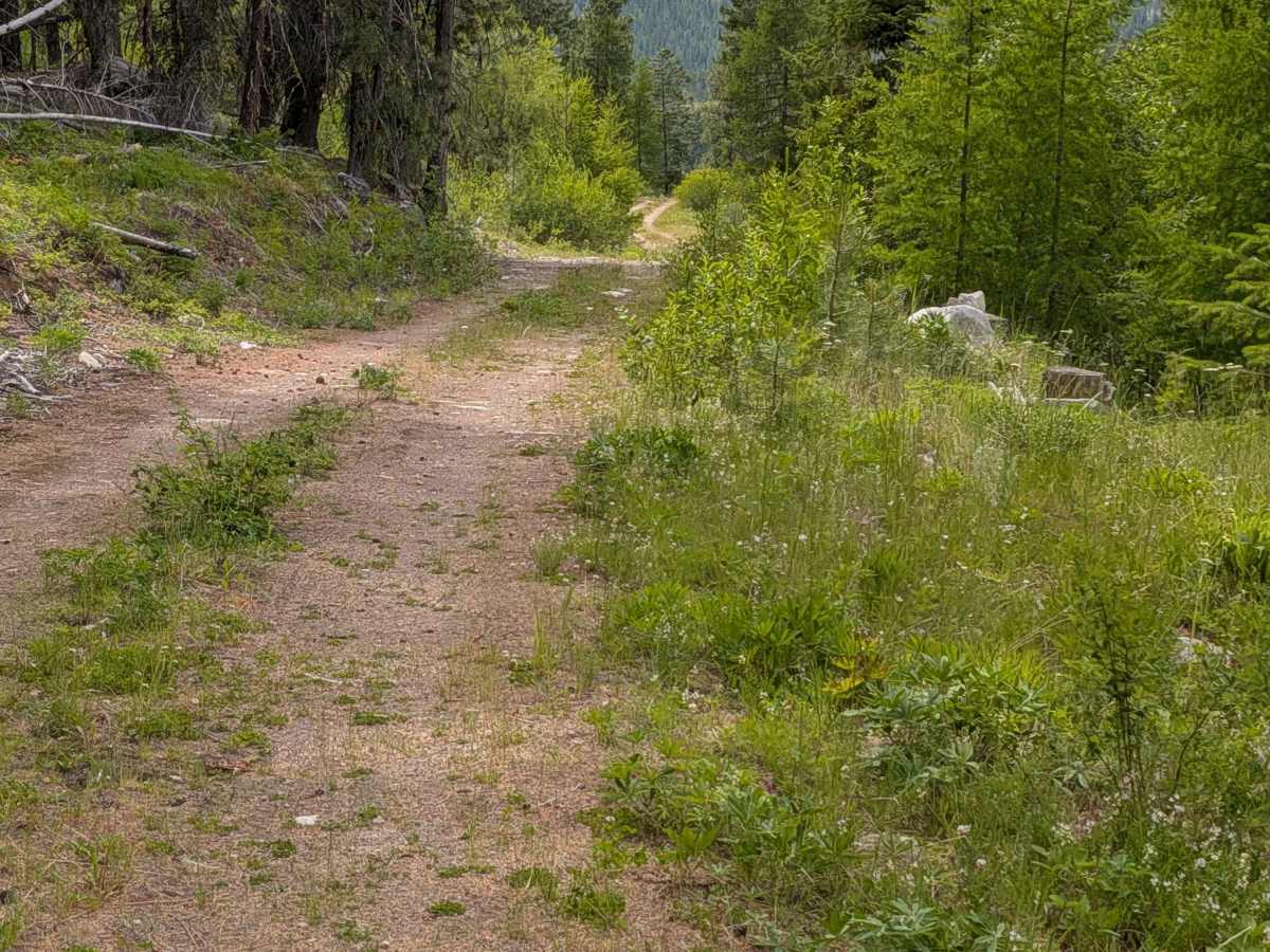 E332418G trail photo