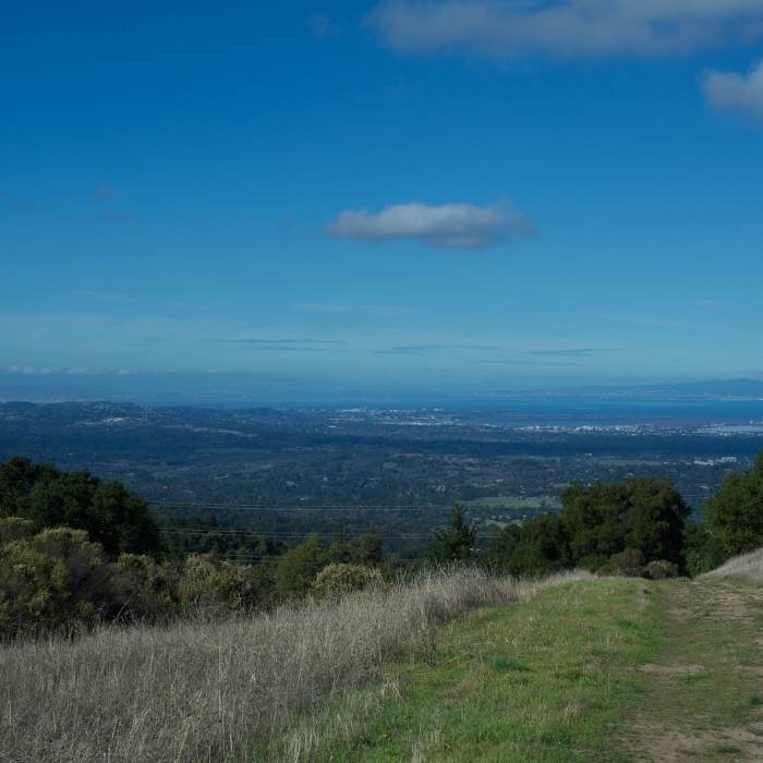 Near Clouds Rest - Meadow Trail Loop