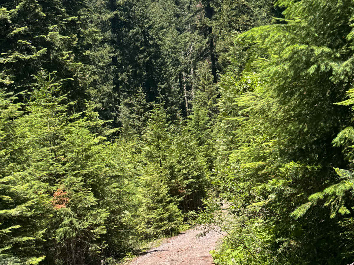 Rabbit Ears - OHV 25 Loop photo 6