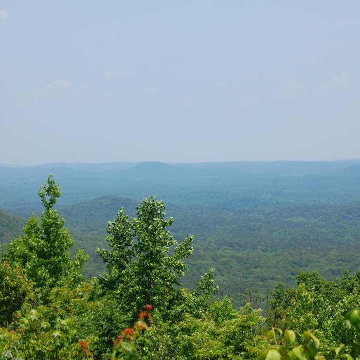 Near Morrow Mountain