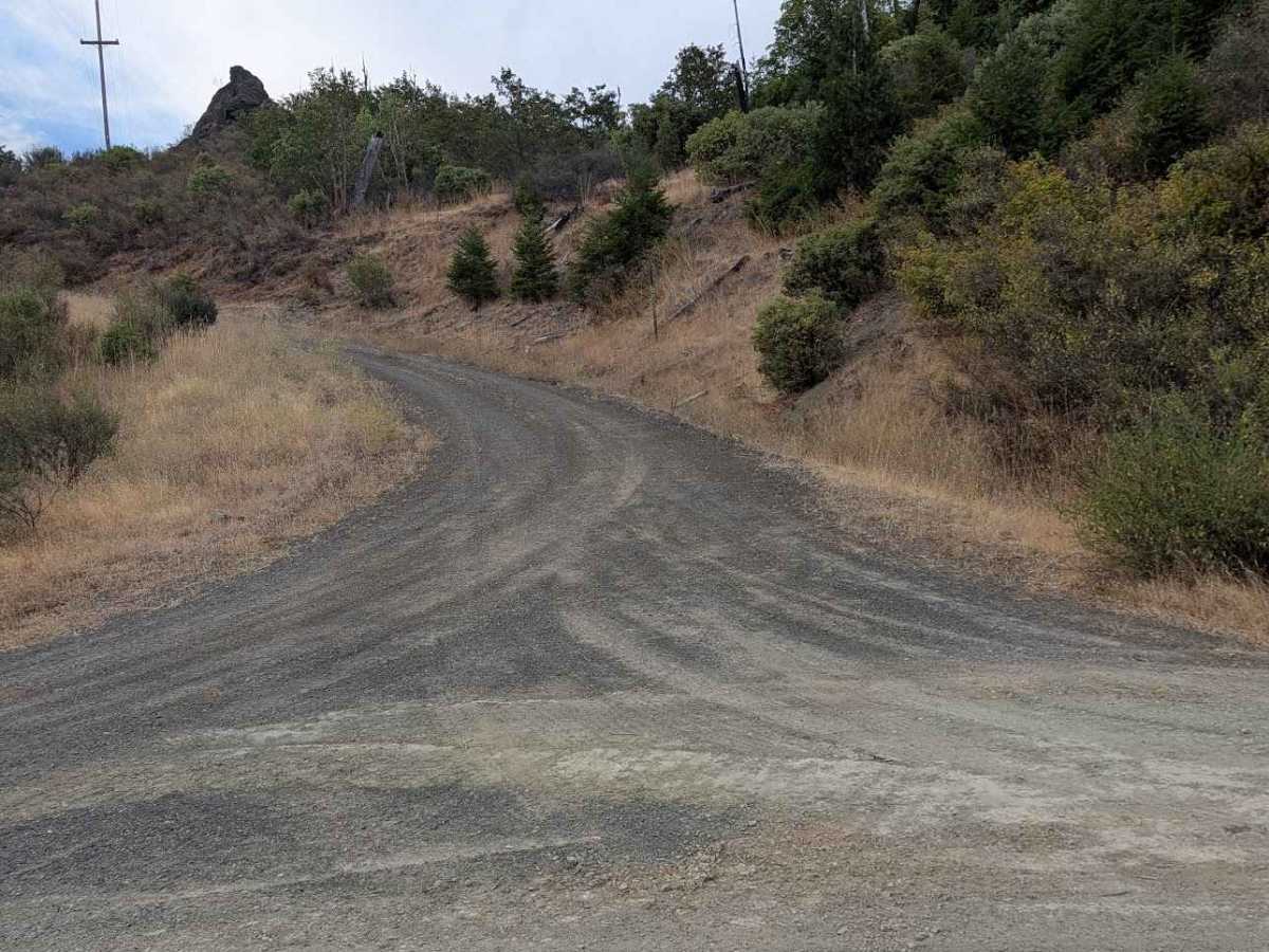 Grapevine Creek Road - FS 4N20 trail photo