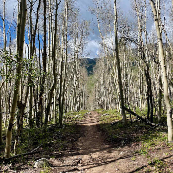 Near Continental Divide Trail: Colorado Section 23
