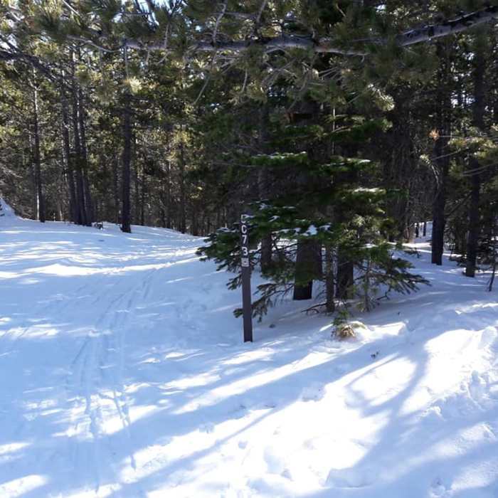 Near Coney Flats Road #507.1