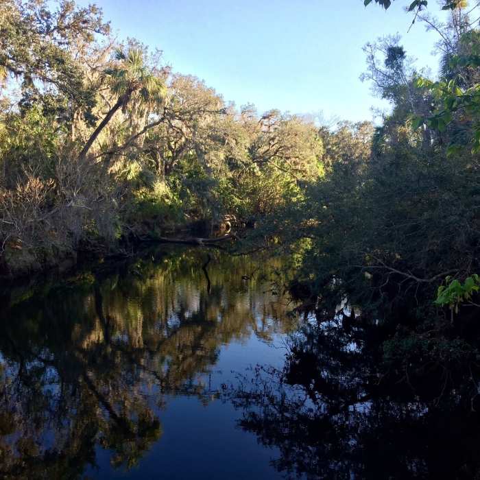 Near Hiking/Jogging Trail