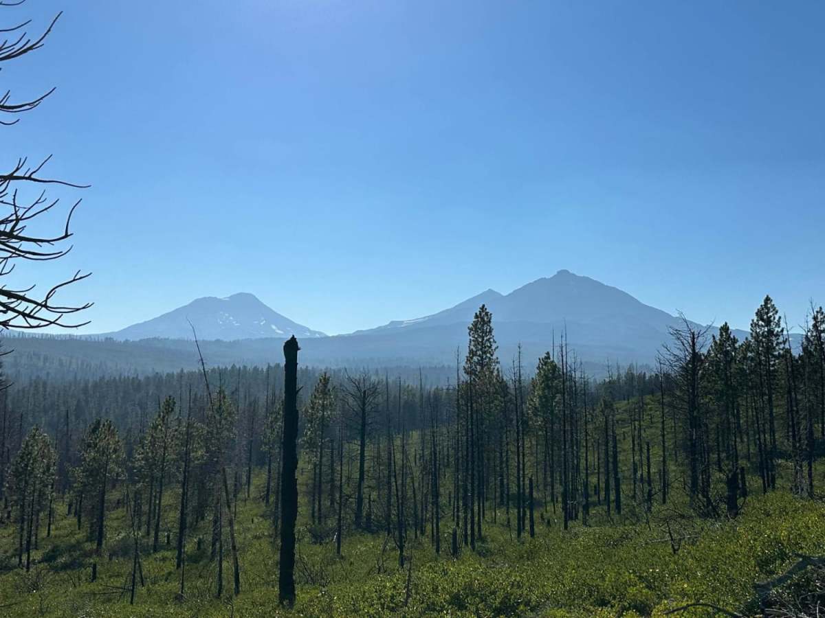 Trout Creek Butte Summit trail photo