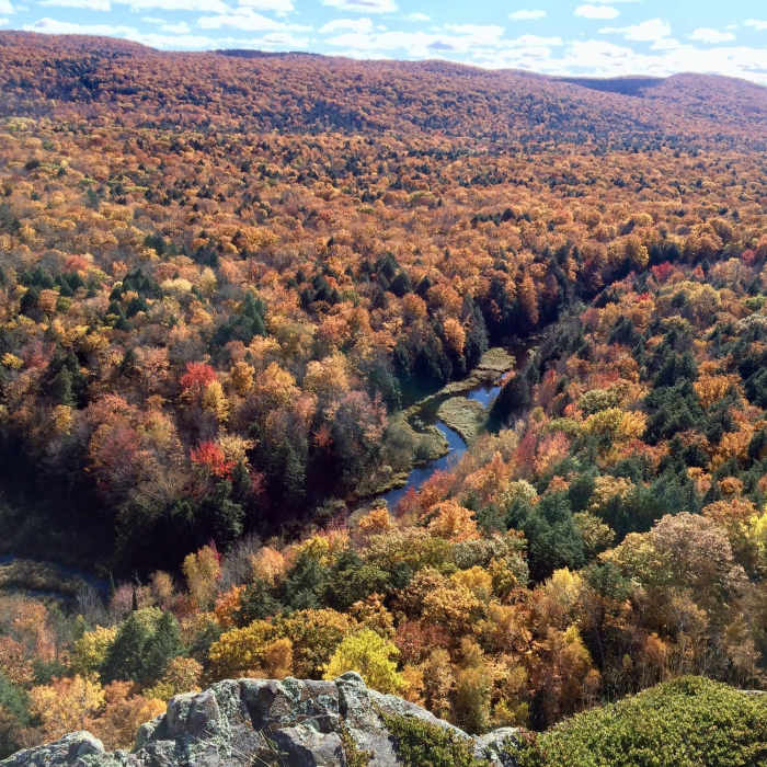 The Big Carp River comes alive in the fall. Near Porcupine Mountains Traverse