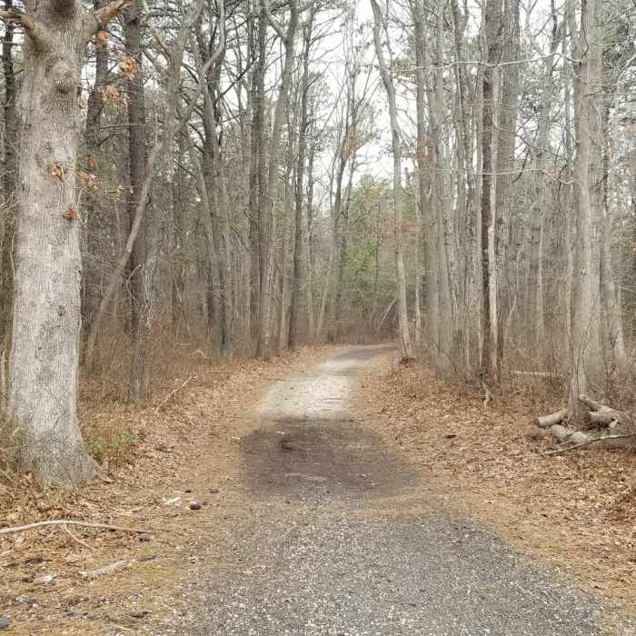 Near Cove Trail